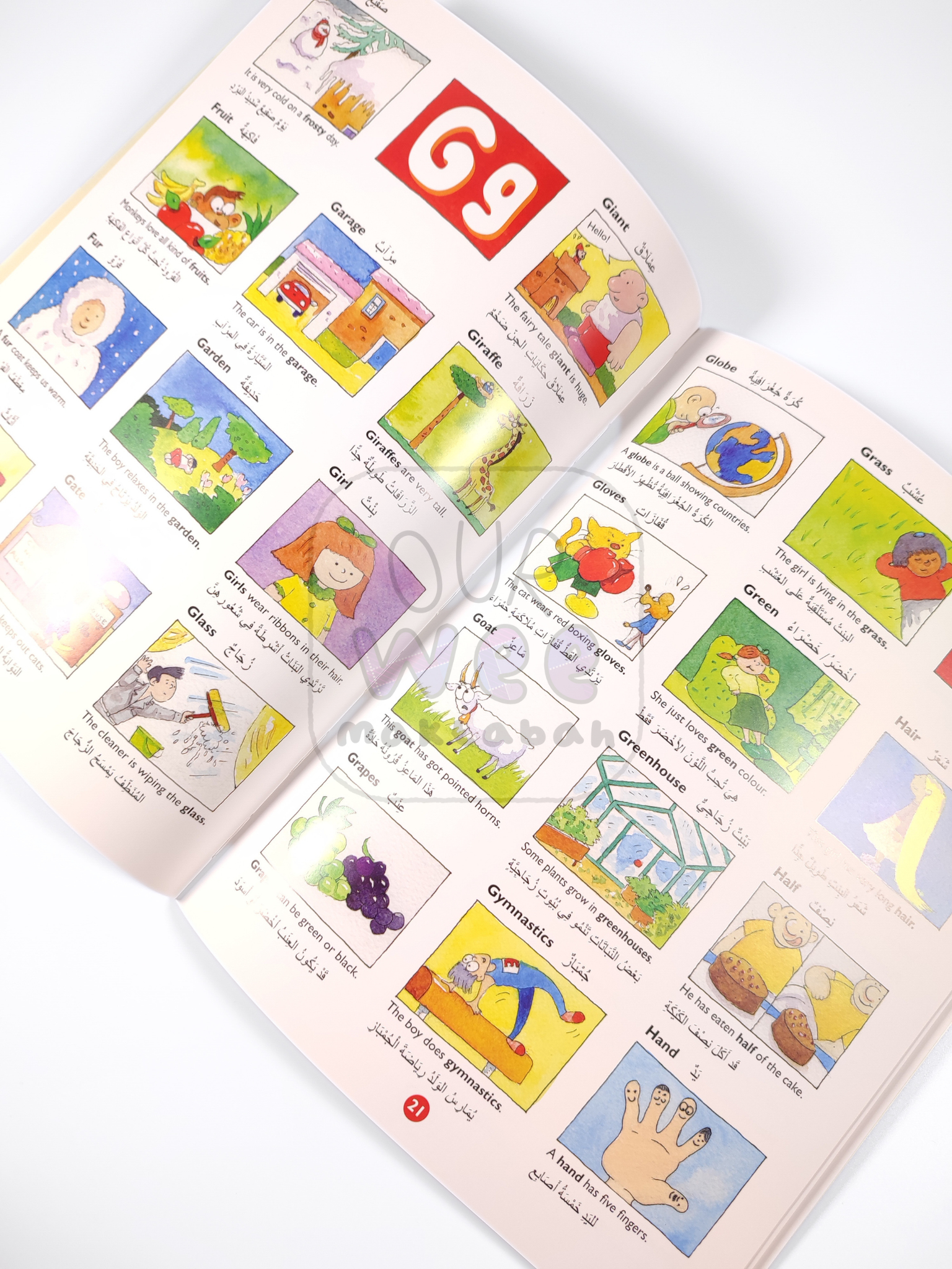 A sample page of the Arabic Picture Doctionary for kids showing the English and Arabic words and corresponding illustrations