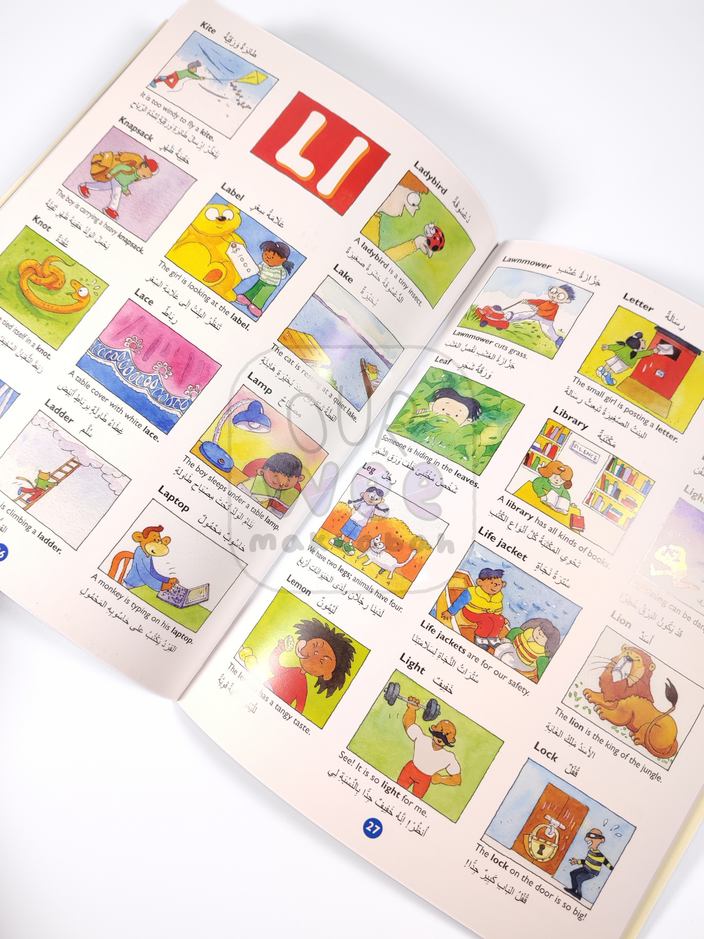 A sample page of the Arabic Picture Doctionary for kids showing the English and Arabic words and corresponding illustrations