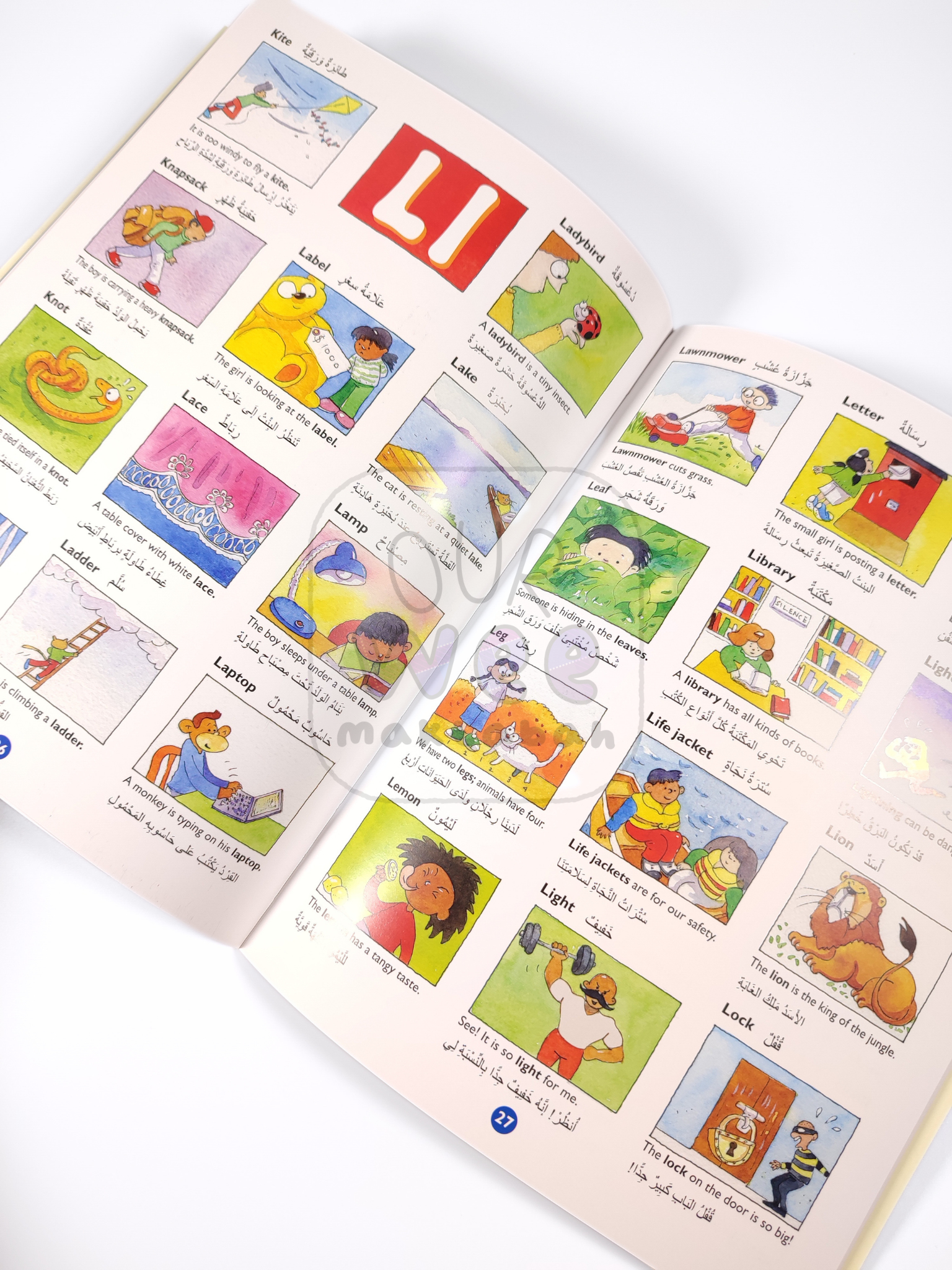 A sample page of the Arabic Picture Doctionary for kids showing the English and Arabic words and corresponding illustrations