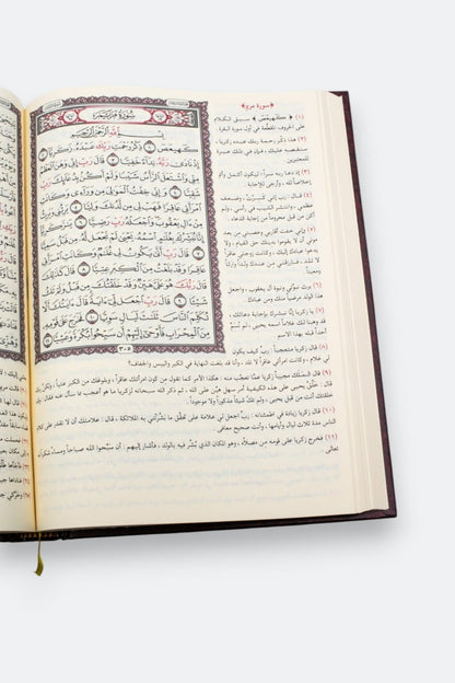 التفسير الميسر (بهامش القرآن الكريم) - نخبة من العلماء