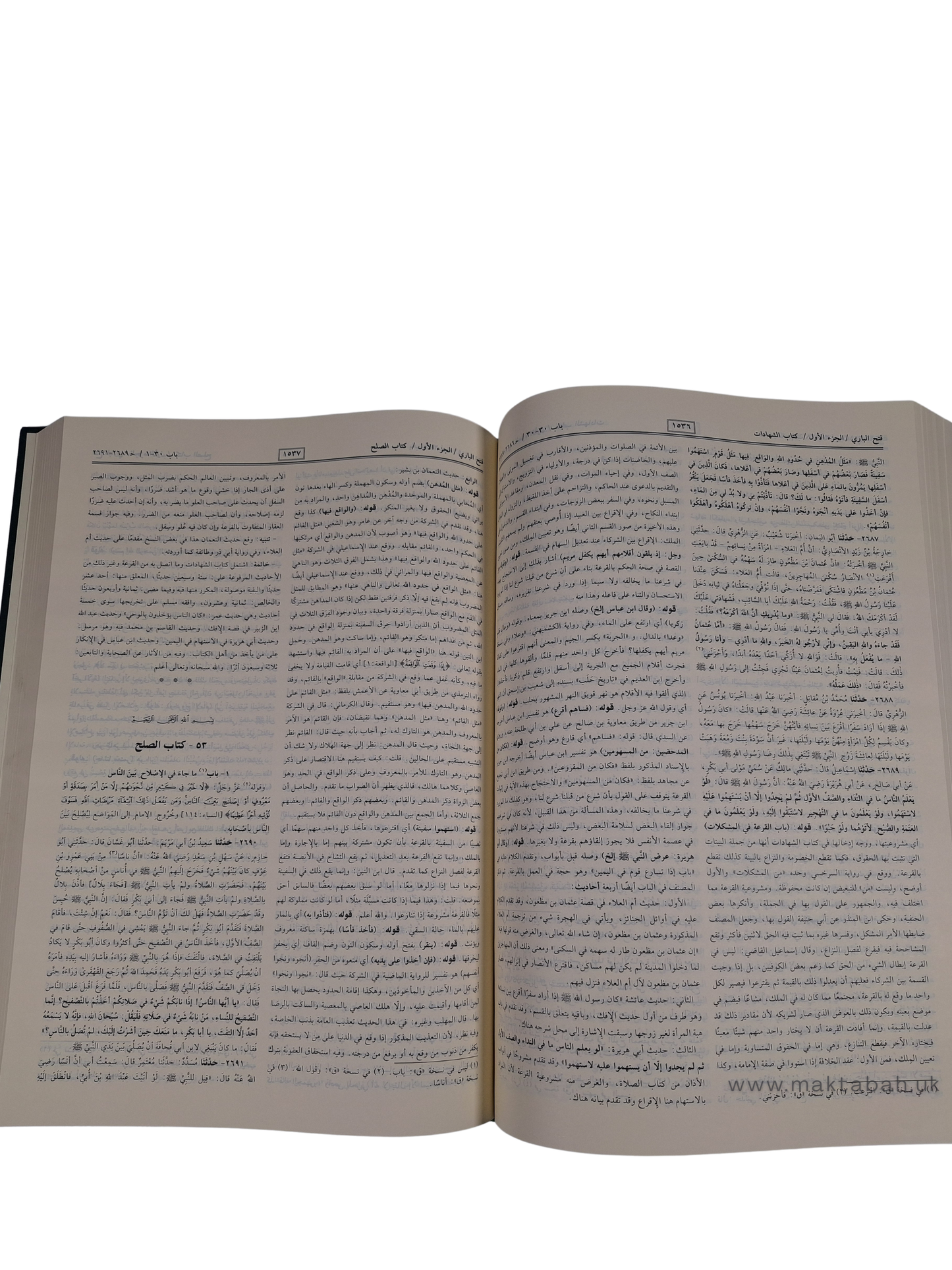 فتح الباري شرح صحيح البخاري لابن حجر العسقلاني - الشرح كامل في مجلدين