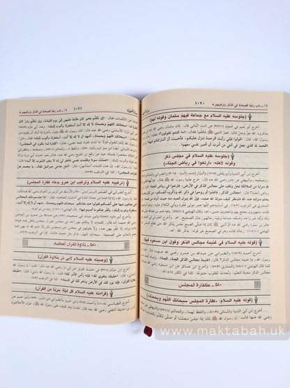 حياة الصحابة -للعلامة محمد يوسف الكاندهلوي (مجلد واحد)