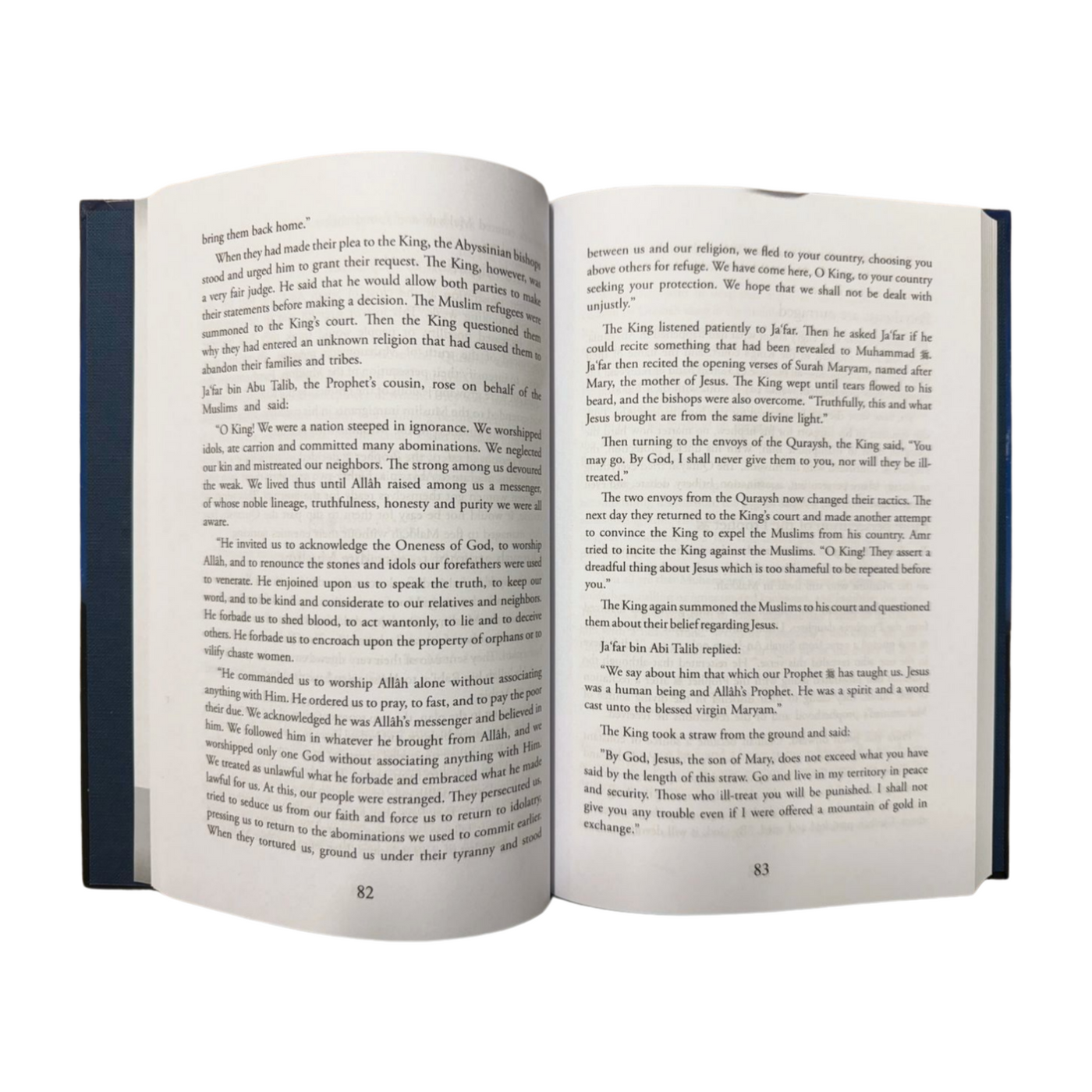 When the moon split- biography of the prophet Muhammad