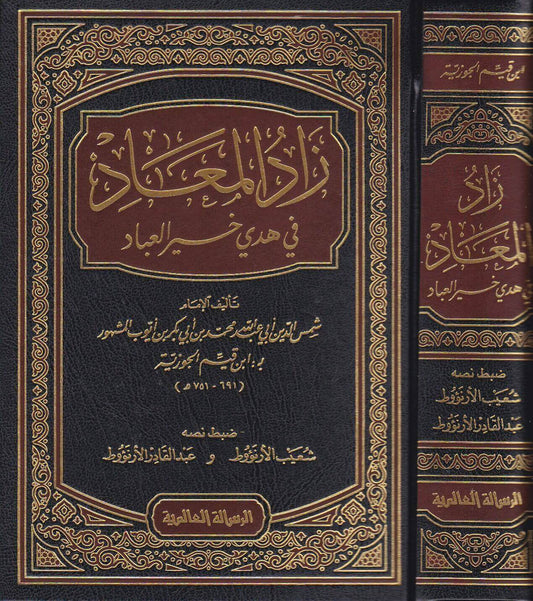 زاد المعاد في هدي خير العباد - ابن القيّم
